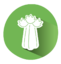 celery_allergen_food_allergens_icon_183723