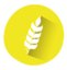 gluten_allergen_food_allergens_icon_183726